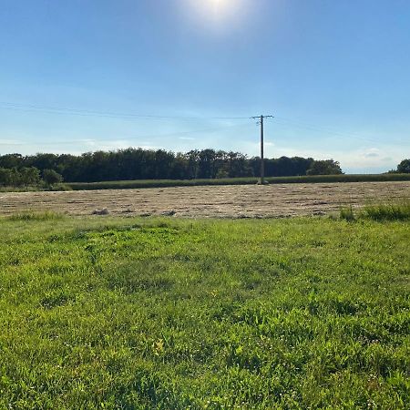 Maison De Campagne Proche Du Zoo De Beauval Nouans-les-Fontaines Esterno foto